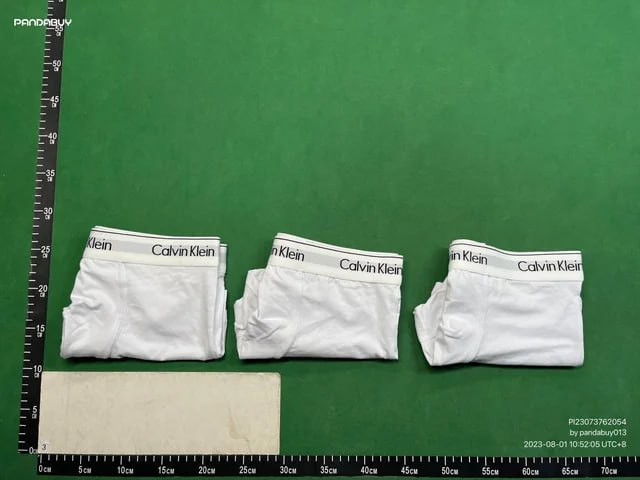 CK  Underwear(30 styles) -3