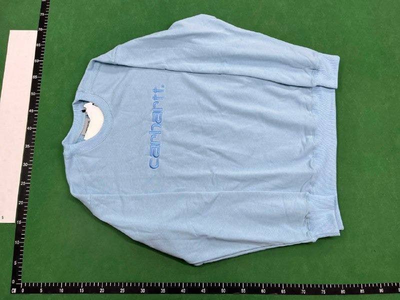 carhatt hoodie(40 CP) -2