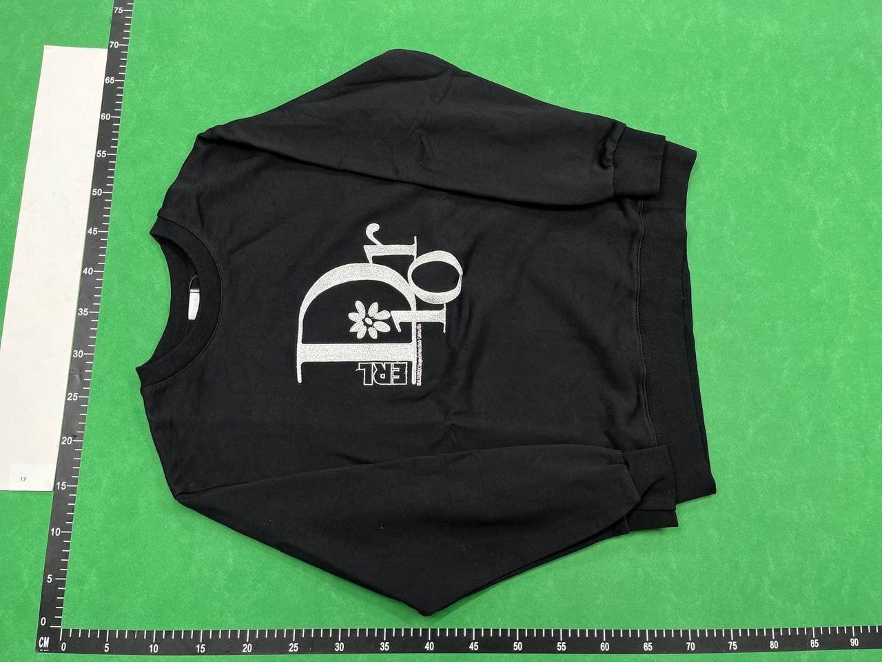 dior hoodie(30 CP) -2