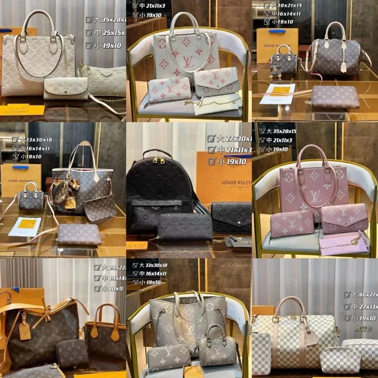 Louis Vuitton Handbag Shoulder