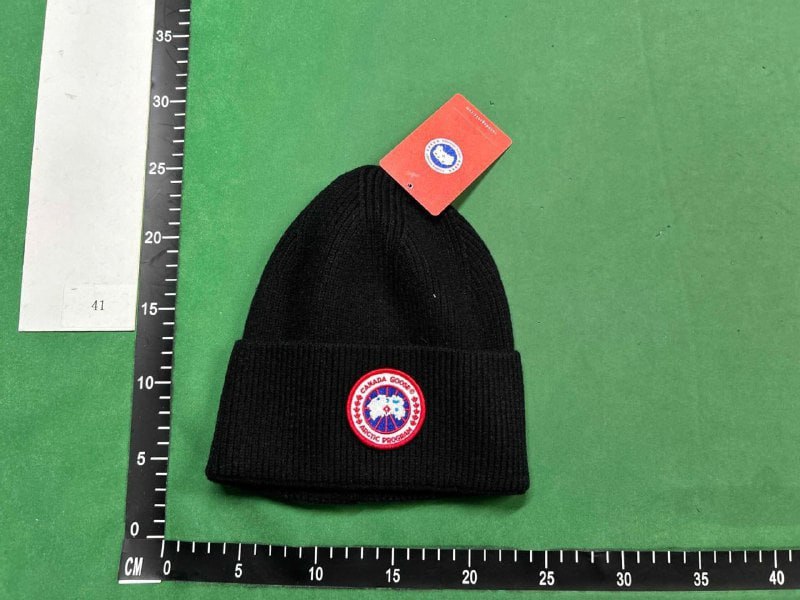  Canada goose hat  (29 CP) -3