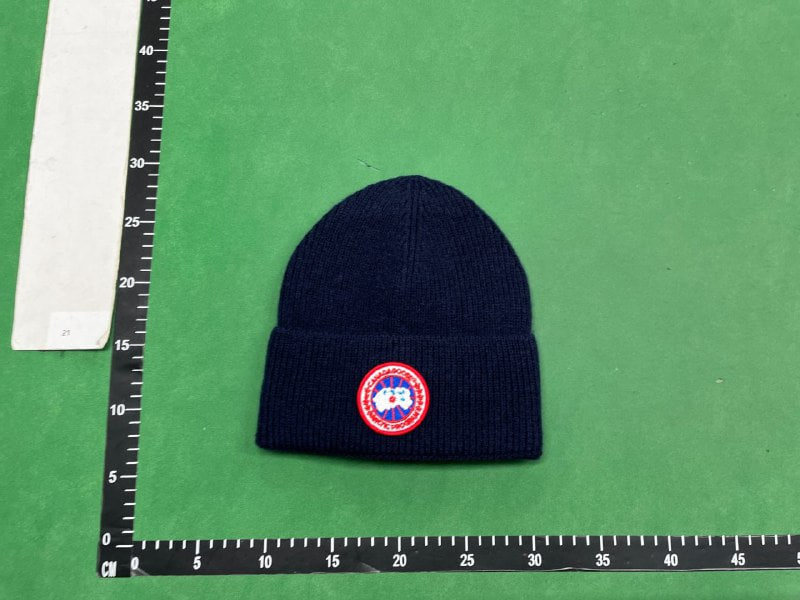  Canada goose hat  (29 CP) -4
