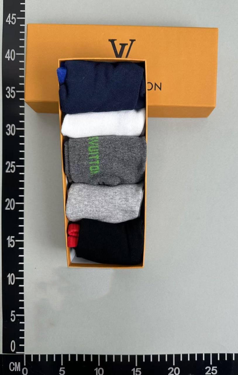 LOUIS VUITTON Socks -3