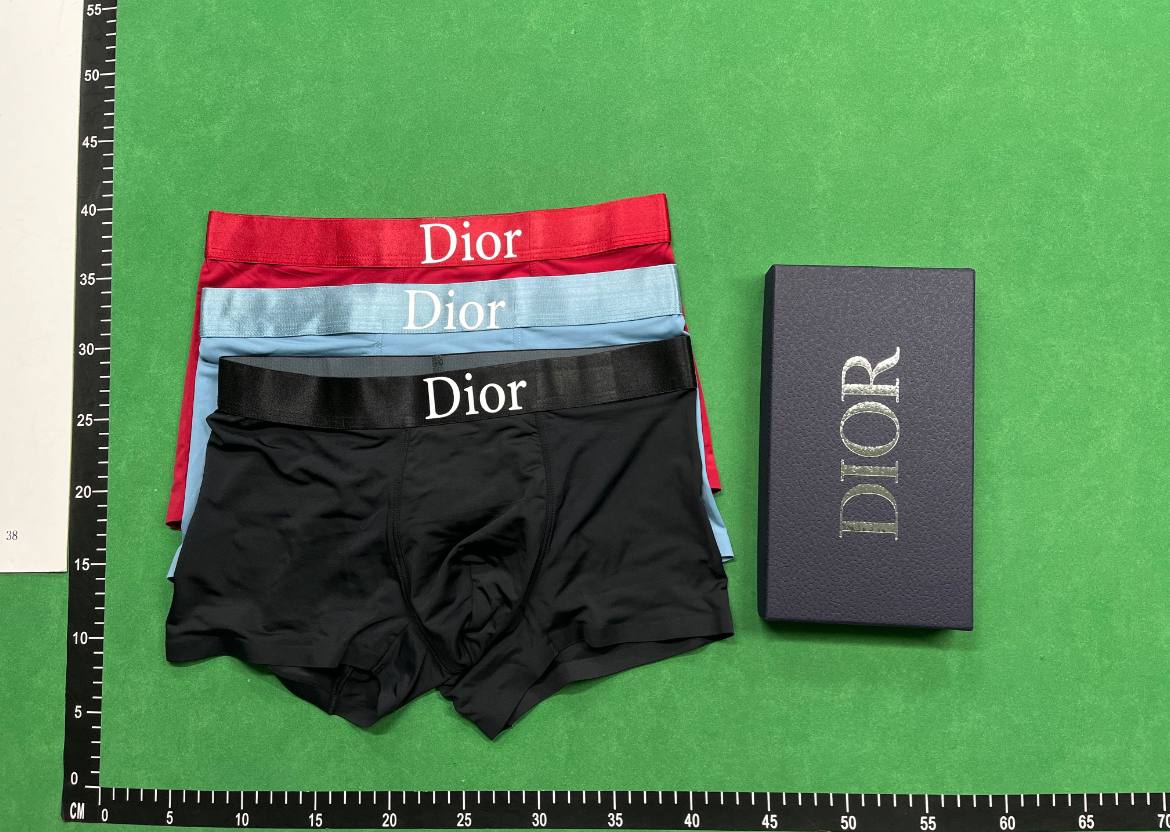 Dior Underwear -4