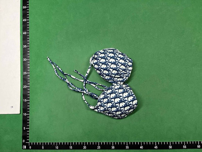 LV   DIOR   fendi   gucci   swimsuit -4