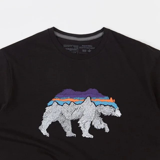 Patagonia TEE -4