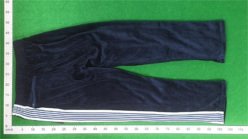 Needles Track Pants -3