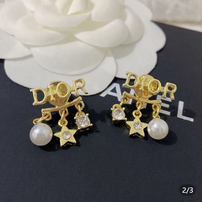 Dior earrings   -2