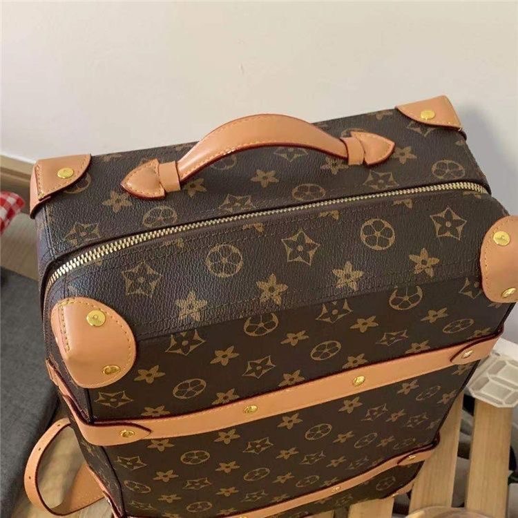 LV backpack                                 -3