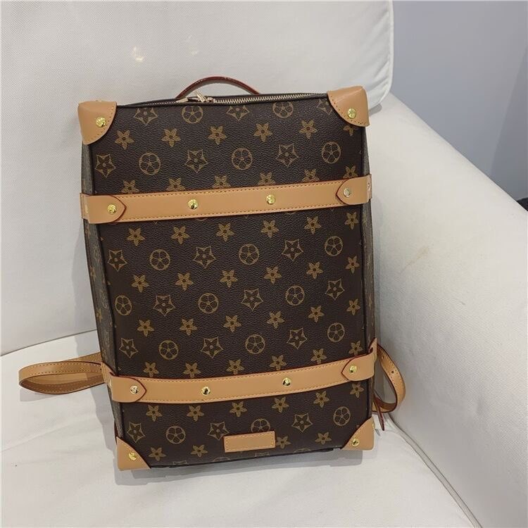 LV backpack                                 -2