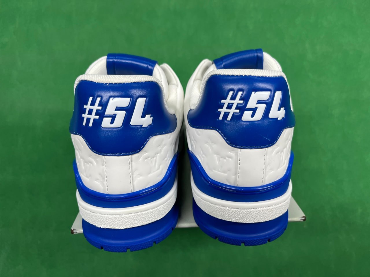 FS-LV Trainer                                 -4