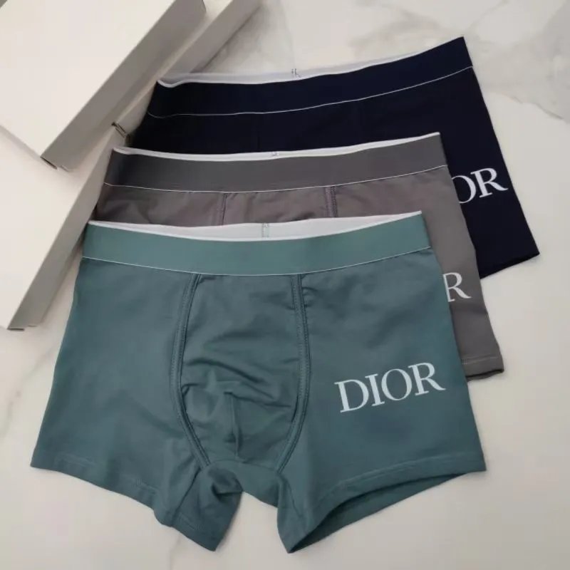 Dior Underwear -2