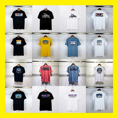 patagonia T-shirt 