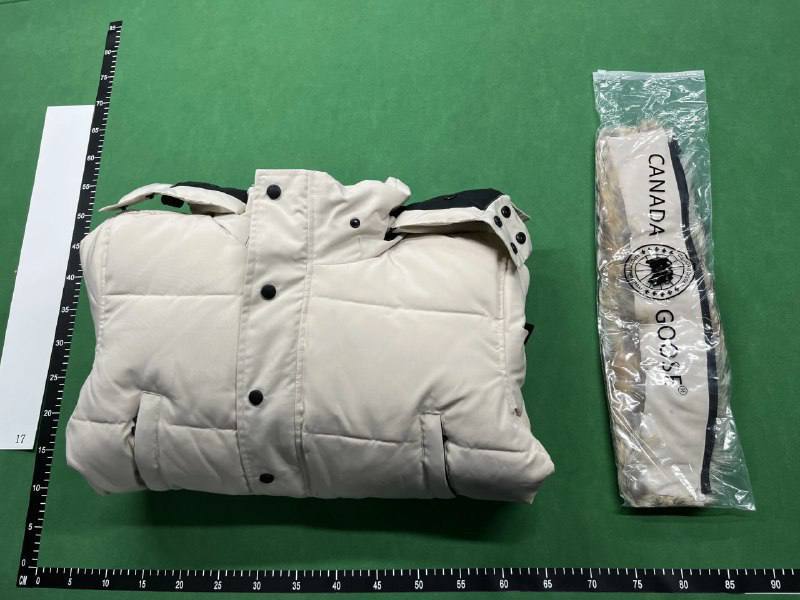 Canada Goose Down Jacket (100% Goose Down) -4