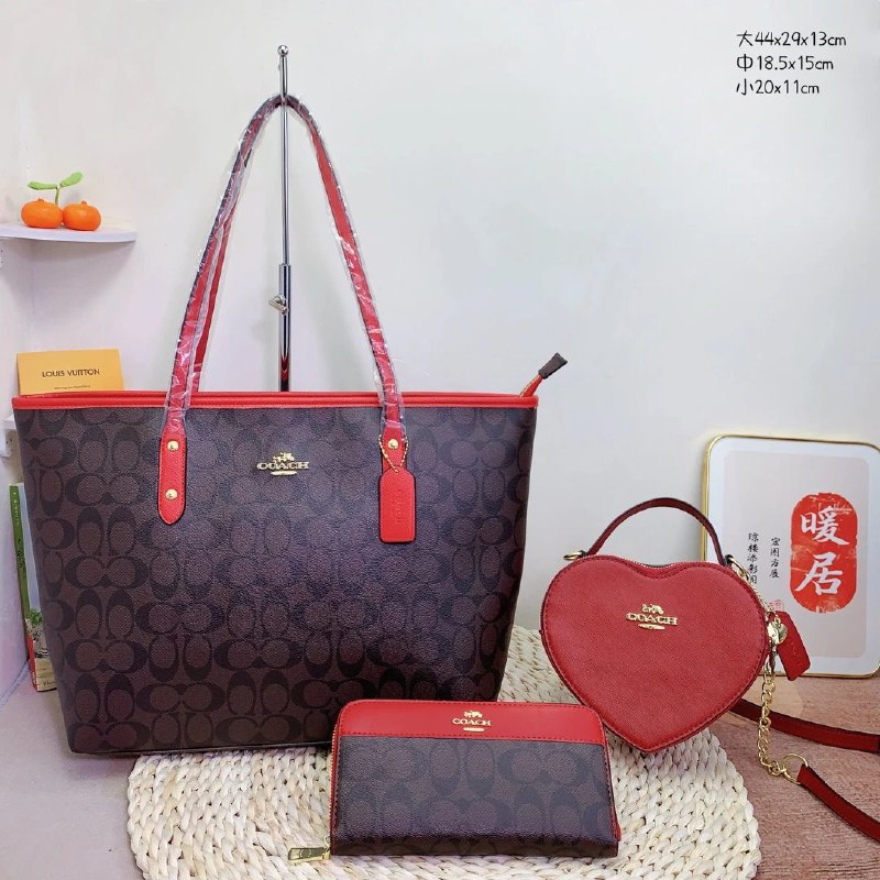 Coach Bags -3
